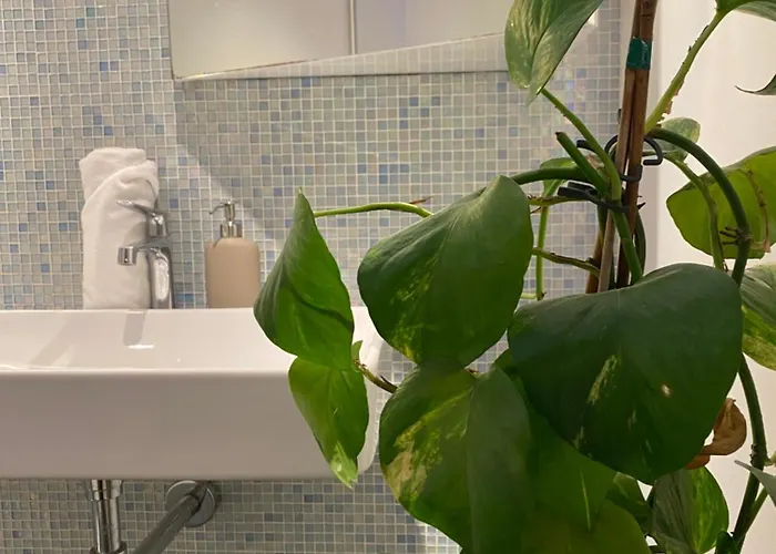 Premier Suites Apartment Wroclaw